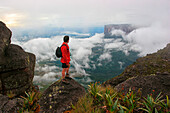 Man Standing On Cliff In Mount Roraima, Venezuela