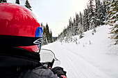 Snowmobiling A Road In The Snow Covered Mountains Of Vail, Colorado