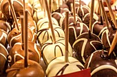 Germany, Berlin, Christmas atmosphere at Alexanderplatz, apples in chocolate on a stick