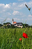 Mohnblume bei Andechs, Landschaften in Bayern, Deutschland