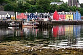 Bunte Häuser am Hafen, Tobermory, Insel Mull, Schottland