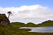 'near Gairloch at the coast ''The Minch'', Northwest- Scotland'