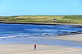 Strand am Skara Brae, Westküste von Mainland, Orkney Inseln, Äußere Hebriden, Schottland
