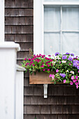 Außendetail des Hauses verziert mit Flowerbox bei Nantucket Town, USA