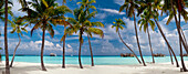 Panoramablick von Palmen Schatten auf Gili Lankanfushi Island, Malediven