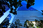 Ein World Trade, auch bekannt als Freedom Tower, erhebt sich über der Baumgrenze in Lower Manhattan. Der Wolkenkratzer wurde von den Architekten David Childs und Daniel Libeskind entworfen und von der Hafenbehörde von New York und New Jersey entwickelt.