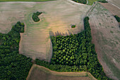 Frankreich, Dordogne, gepflügte Felder und Wald. Lichtblick