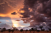 Clouds approach the savannah at the beginning of the rainy season, Tsavo, Kenya, East Africa, Africa