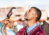 Schlangenbeschwörer, Djemaa el Fna, Marrakesch, Marokko, Nordafrika, Afrika