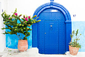 Töpfe und Pflanzen gegen blau-weiße Wand in Kasbah des Oudaya ,Kasbah der Udayas, Rabat, Marokko, Nordafrika, Afrika
