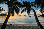 Anse Government Beach, Praslin, Republik Seychellen, Indischer Ozean, Afrika