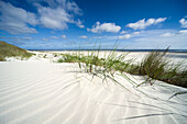 Sand dunes under blue sky, Spiekeroog, German North Sea, Wattenmeer National Park, Ostfriesland, Lower Saxony, Germany