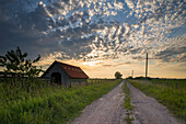 Dirt road with barn at sunset, Petersgroden, Bockhorn, Landkreis Friesland, Lower Saxony, Germany