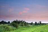 Frisian landscape in the evening light, Dykhausen, Sande, Landkreis Friesland, Lower Saxony, Germany