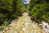 Fluss Soca, bei Trenta, Gorenjska, Oberkrain, Nationalpark Triglav, Julische Alpen, Slowenien