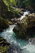 Fluss Radovna fließt durch die Vintgar Klamm, Podhom, Gorje, Gorenjska, Oberkrain, Nationalpark Triglav, Julische Alpen, Slowenien