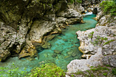 River Tolminka flows through the Tolmin gorges, Gorenjska, Upper Carniola, Triglav National Park, Julian Alps, Slovenia