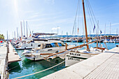 Luxus-Yachten im Hafen von Palma, Mallorca, Spanien, Europa