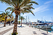 Luxury yachts at the port of Mallorca. Puerto de Palma, Port of Palma, Palma, Mallorca, Spain, Europe