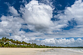 Schöner tropischer Strand mit Palmenkokosnussbäumen unter blauem Himmel mit Wolken, Boipeba-Insel, Süd-Bahia, Brasilien