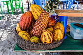 Tropical fruit basket on beach in south Bahia, Ilha de Boipeba, Brazil