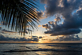 Palmblättern und Sonnenuntergang mit Wolken im tropischen Strand, Süd-Bahia, Peninsula de Marau, Brasilien