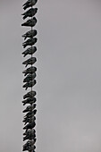 Fotografieren Sie mit Tauben hocken auf Stromleitungen, Richmond, British Columbia, Kanada