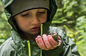 Ein Junge hält eine westliche Kröte auf nahe Baker Lake Washington.