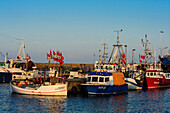 Fischerboote im Abendlicht Hafen von Simrishamn, Skane, Südschweden, Schweden