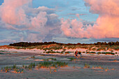 Breiter Sandstrand mit Spaziergänger  auf Gotska Sandoe, Die Insel  /Nationalpark liegt in der Ostsee  nördlich der Insel Gotland., Schweden