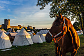 City wall of the old town of Visby, horse in tent camp Medieval festival in front of the old city wall, Schweden