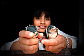 Hispanic girl holding birds