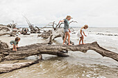 Caucasian boy and girls balancing on driftwood on beach