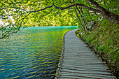 Wooden pathway near water