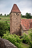 UNESCO World Heritage Maulbronn Monastery, Tower and vineyard, Maulbronn, Baden-Wuerttemberg, Germany