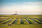 UNESCO Weltnaturerbe Wattenmeer, Fahrradfahrer passieren Leuchtturm Westerheversand umgeben von Salzwiesen, Westerhever, Schleswig-Holstein, Deutschland, Nordsee