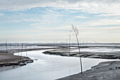 UNESCO Weltnaturerbe Wattenmeer, Markierung des Fahrwasser im Schlickwatt bei Wremen im Landkreis Cuxhaven, Niedersachsen, Deutschland, Nordsee