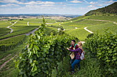 Junges Paar blickt auf Reben am Weinberg Iphöfer Julius-Echter-Berg, Iphofen, Fränkisches Weinland, Franken, Bayern, Deutschland, Europa