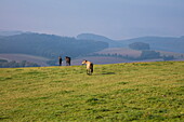 Woman and two horses on pasture with hills behind, Bessenbach Steiger, Westspessart, Spessart-Mainland, Bavaria, Germany