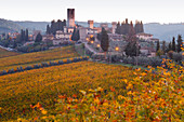 Abbazia de San Michele Arcangelo, Kloster und Weinberge, Herbst, Passignano, bei Tavernelle Val di Pesa, Chianti, Toskana, Italien, Europa