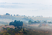 Landschaft mit Landhaus, Zypressen, Nebel, Herbst, bei San Gimignano, Provinz Siena, Herbst, Toskana, Italien, Europa