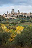 Stadtansicht mit Geschlechtertürmen, Türme, San Gimignano, UNESCO Weltkulturerbe, Provinz Siena, Herbst, Toskana, Italien, Europa