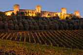 Stadtmauer, Weinberg,  Monteriggioni, Via Francigenia, Provinz Siena, Toskana, Italien, Europa