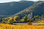 Abbazia di Sant Antimo, Abbey of Sant Antimo, monasrtry, 8th century, vineyards, near Montalcino, autumn, Val d´Orcia, UNESCO World Heritage Site, Tuscany, Italy, Europe