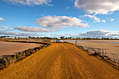 Unsealed road across the almost dry Lake King in Western Australia