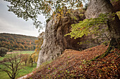 UNESCO Welterbe Eiszeitliche Höhlen der Schwäbischen Alb, Hohler Fels (Fundort der Venus), Aachtal, Schwäbische Alb, Baden-Württemberg, Deutschland