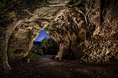 UNESCO Welterbe Eiszeitliche Höhlen der Schwäbischen Alb, Vogelherdhöhle im Archäopark, Lonetal, Schwäbische Alb, Baden-Württemberg, Deutschland