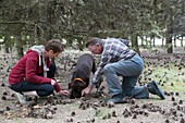 gathering white truffles with jack and christelle bois and their labrador julie, nottonville (28), france