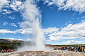 the gushing upwards of a geyser on the famous site of geysir, called stokkur, it sends up every 10 to 15 minutes a 35-metre column of water and steam, golden circle, southwest iceland, europe