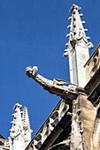 gargoyle on the south facade, notre-dame cathedral, evreux (27), france